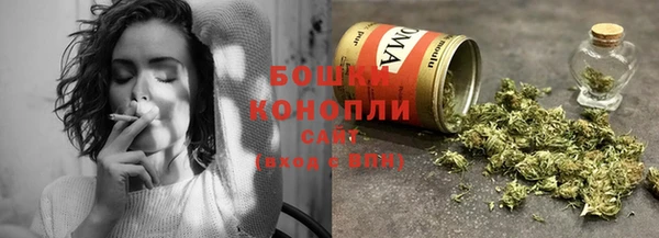 spice Алексин