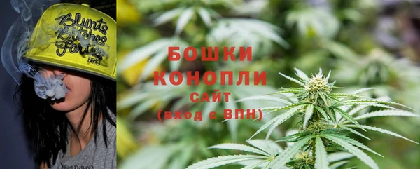 ГАЛЛЮЦИНОГЕННЫЕ ГРИБЫ Алексеевка