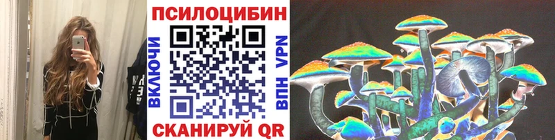 Псилоцибиновые грибы Psilocybine cubensis Карачев