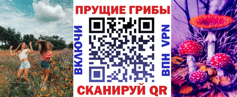 hydra онион  Карачев  Галлюциногенные грибы прущие грибы  где найти наркотики 